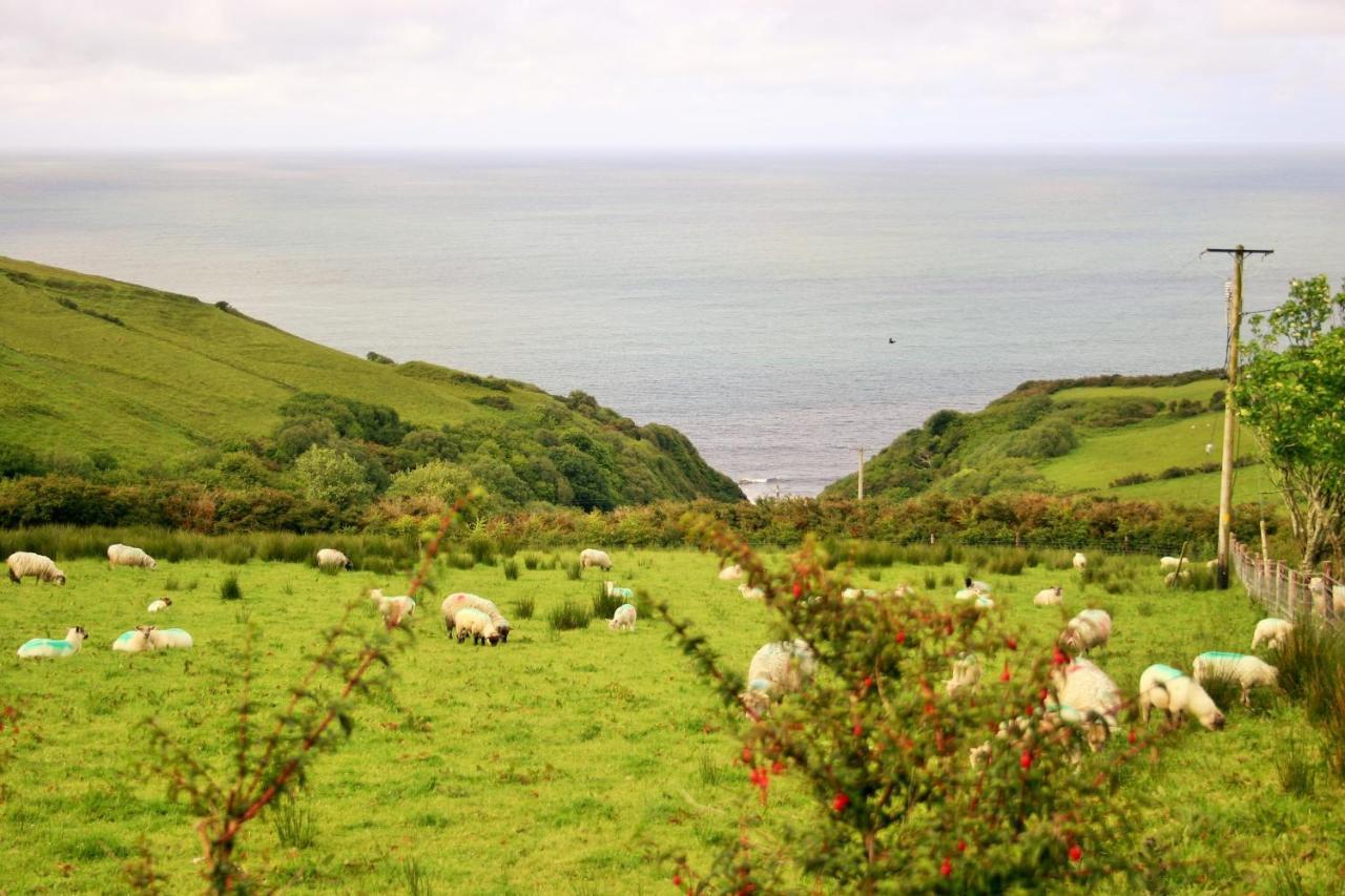 Wild Atlantic View Inishowen Greencastle  Ngoại thất bức ảnh